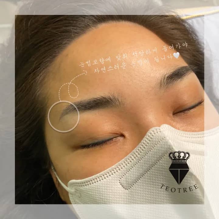 여자자연눈썹