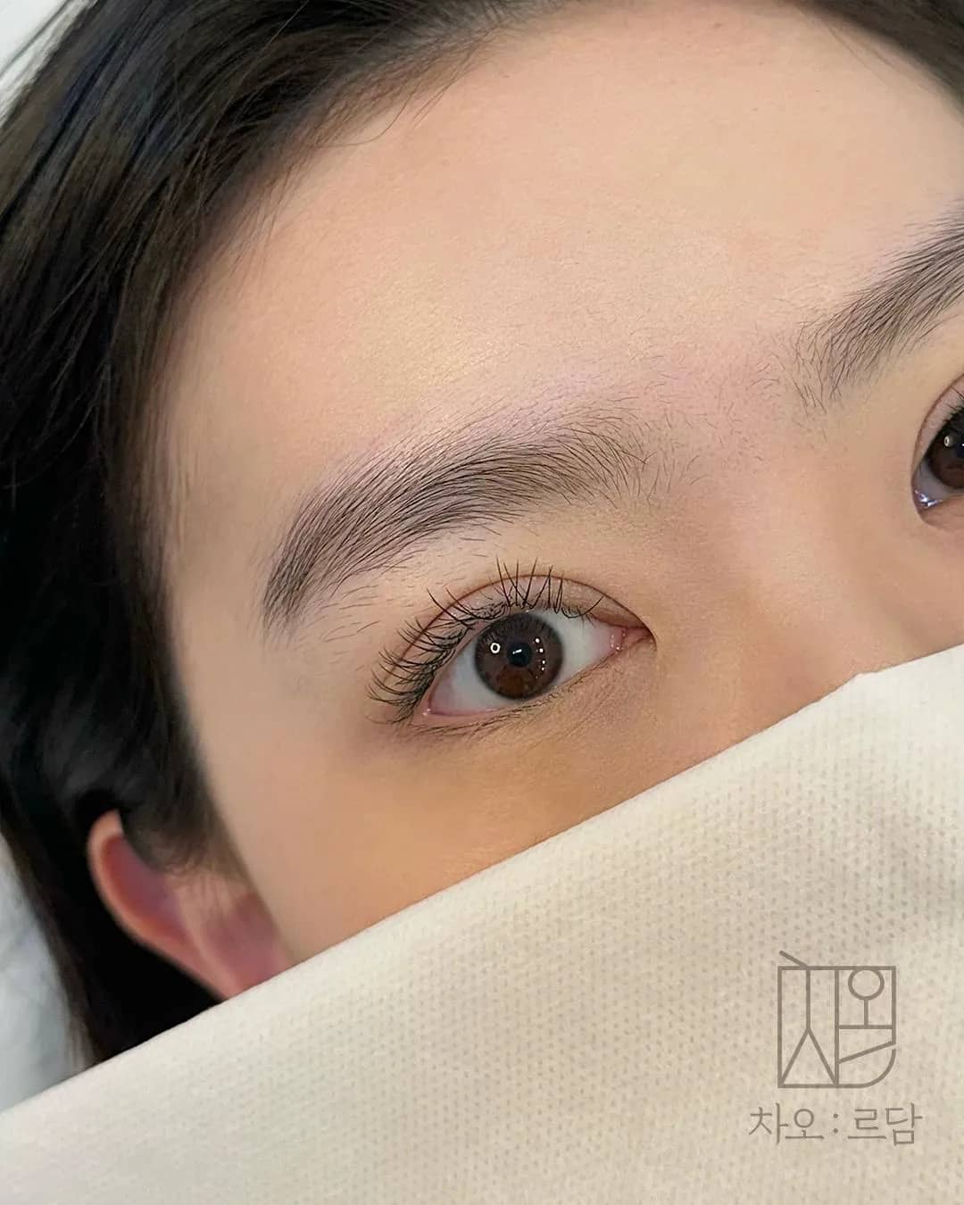 차오르담 여자눈썹