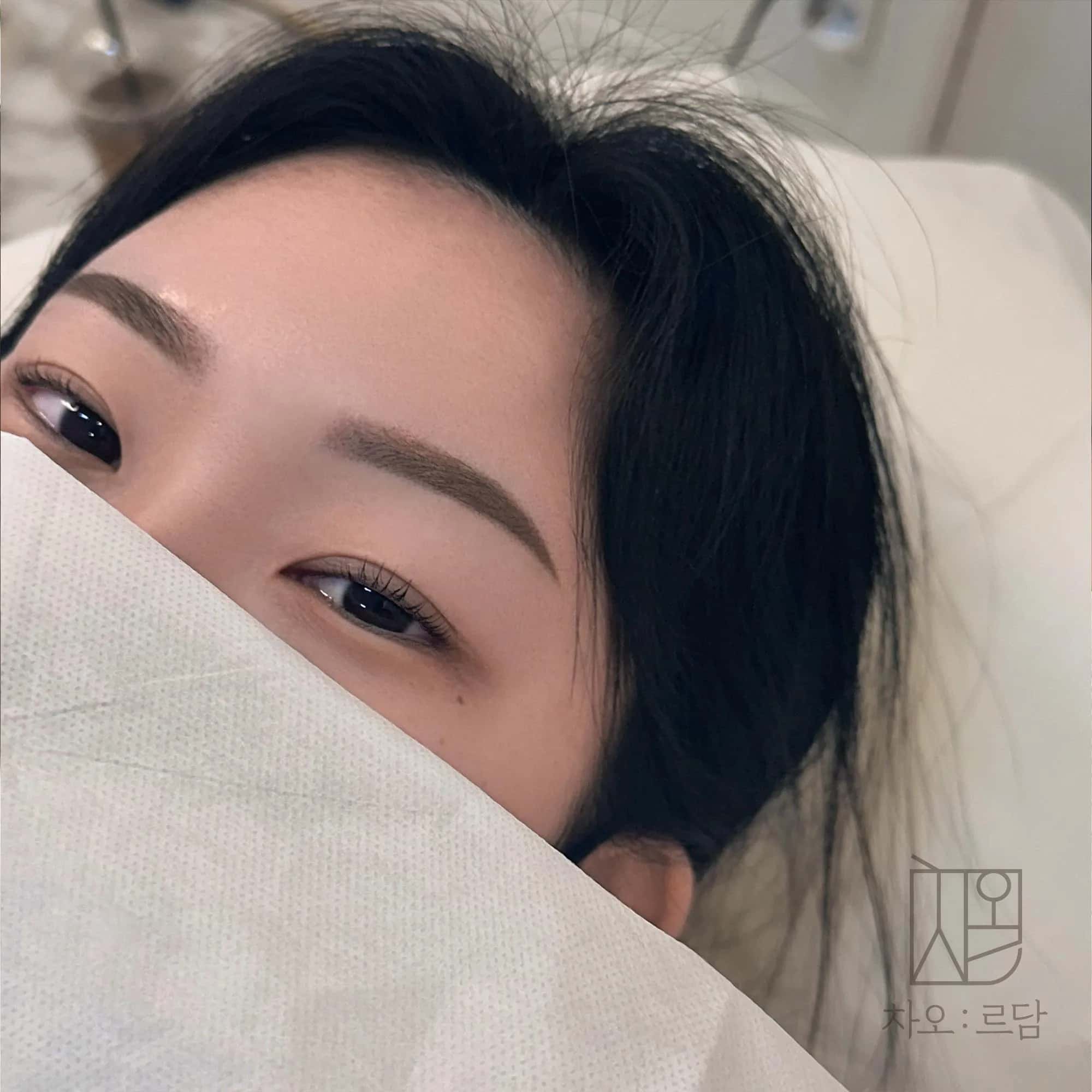 차오르담 섀도우눈썹