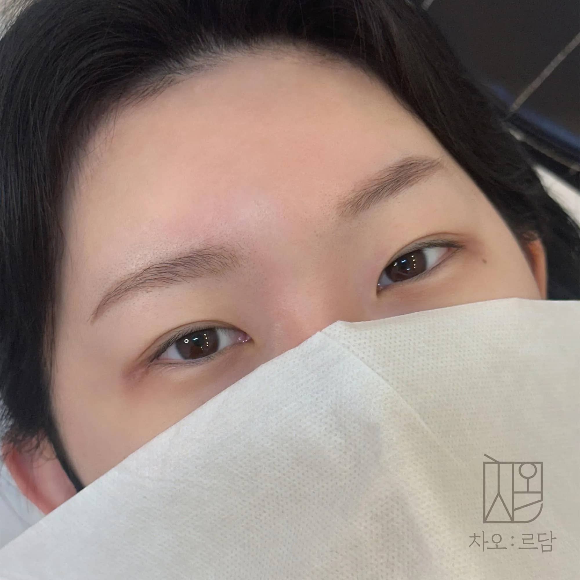 차오르담 섀도우눈썹