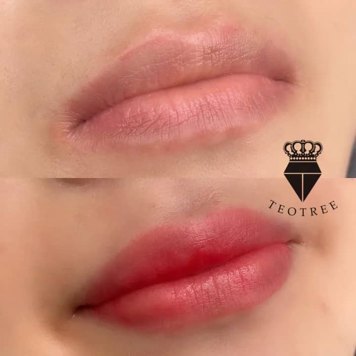 디자인입술(풀립)