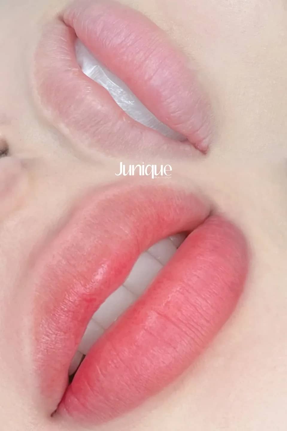 🎀입술 톤업 립타투🎀