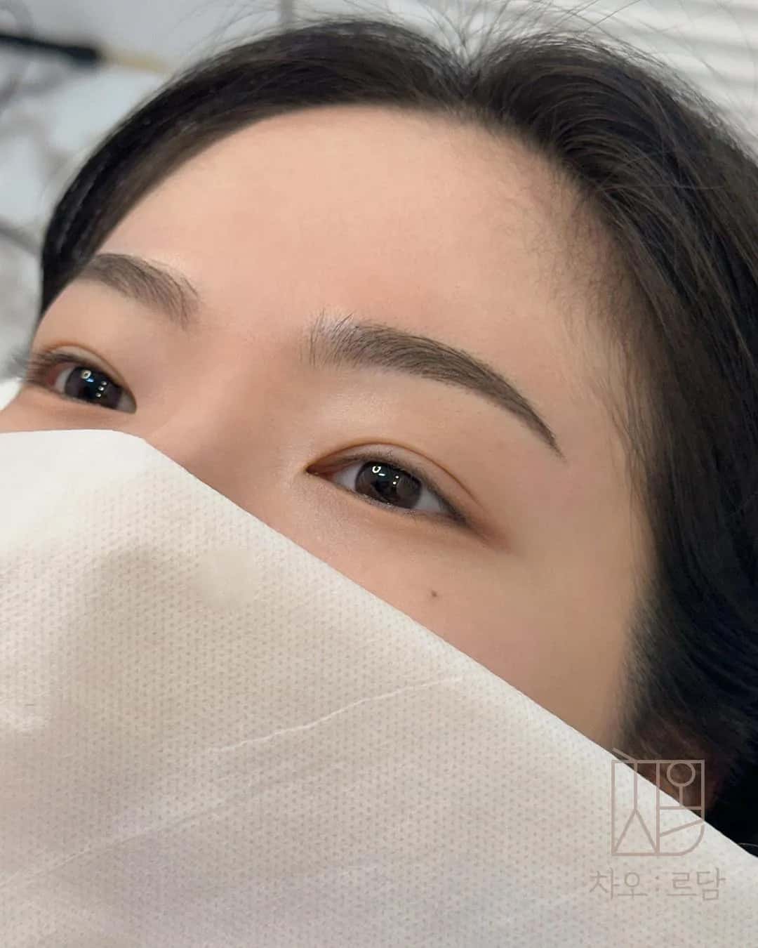 차오르담 여자눈썹