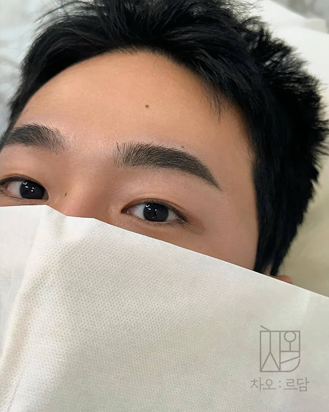 차오르담 남자눈썹