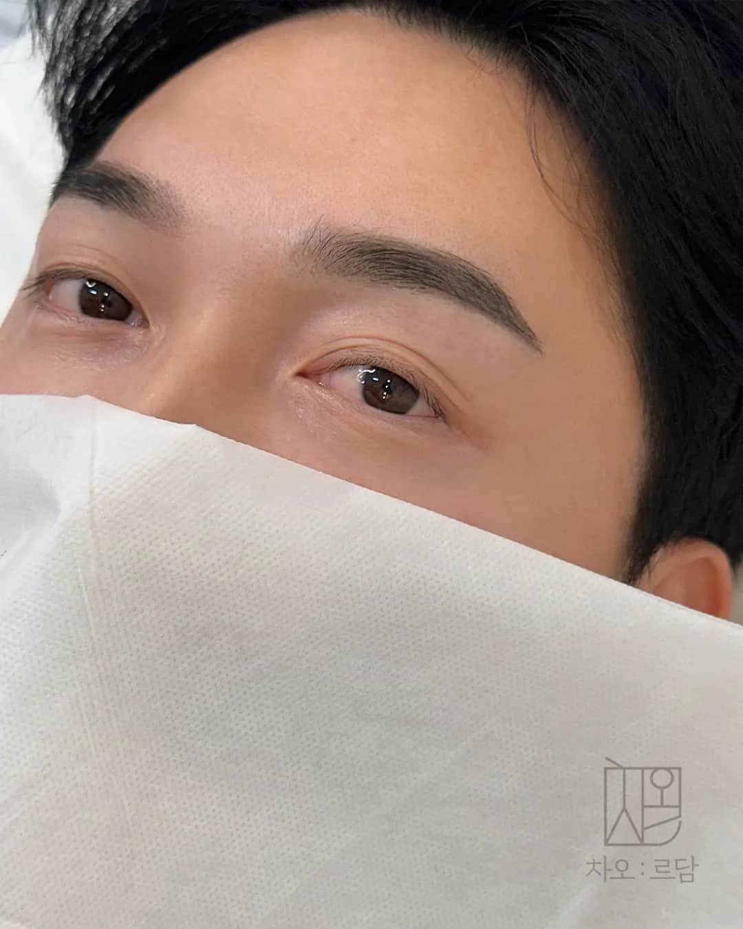 차오르담 남자눈썹