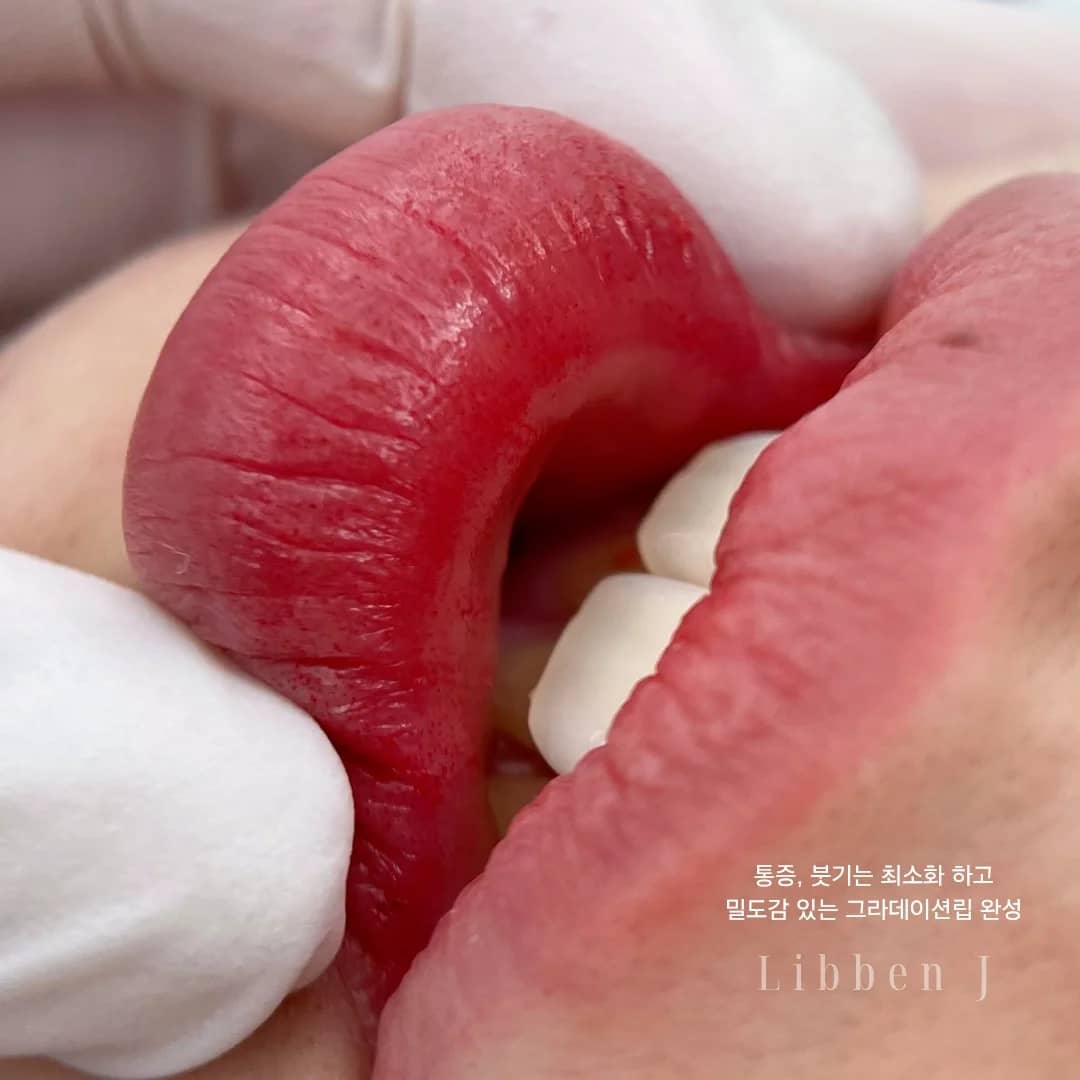 풀그라데이션립