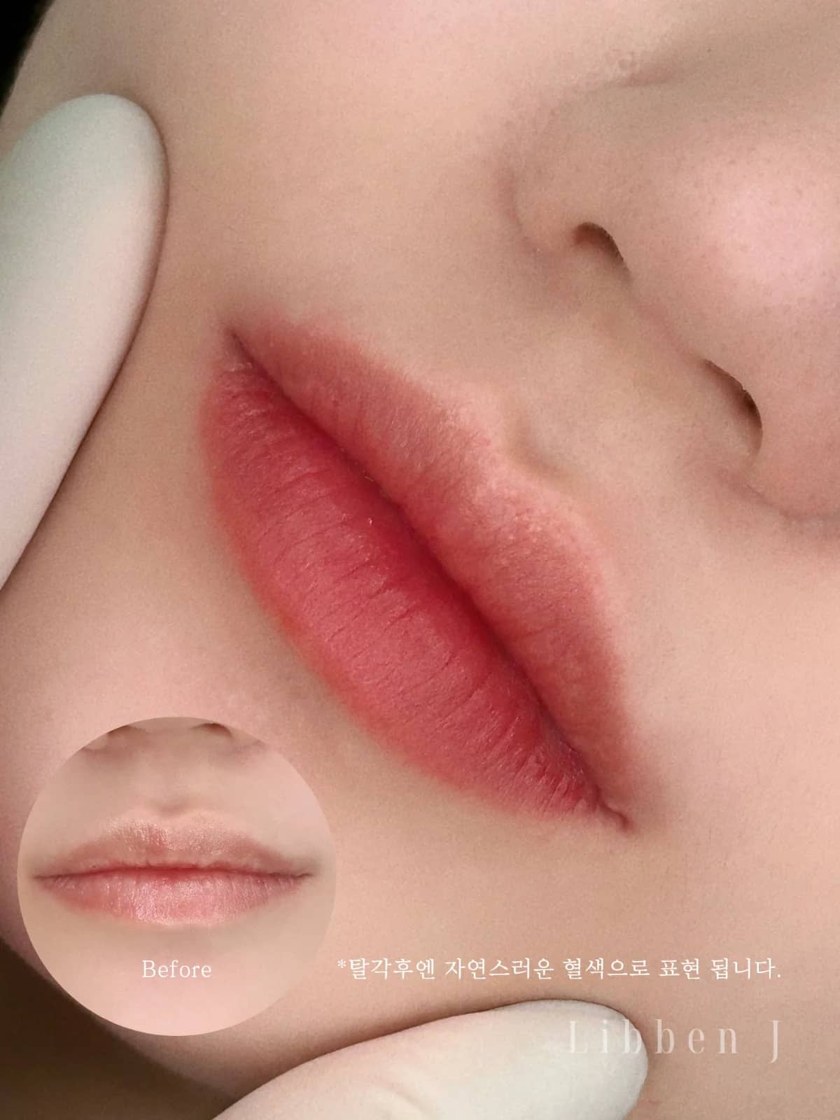그라데이션립